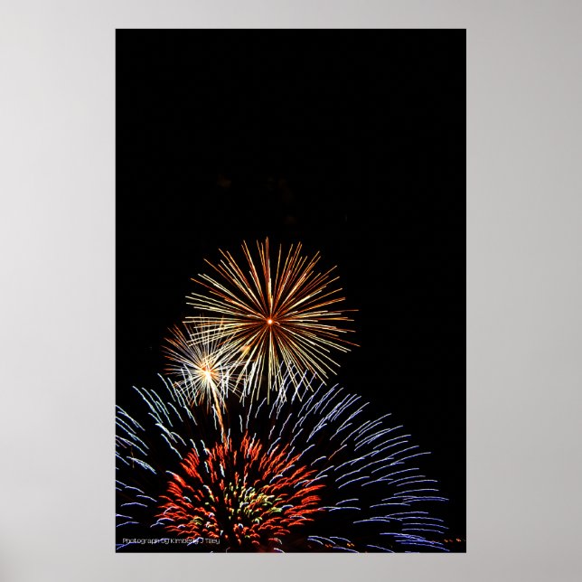 Flowers of Light Print (Front)