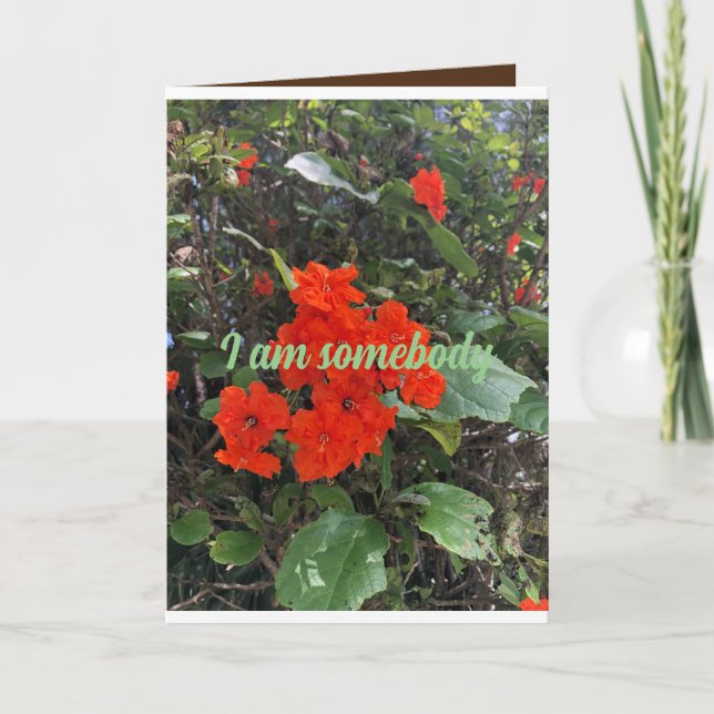 flowers of love from someone who cares. greeting  card (Front)