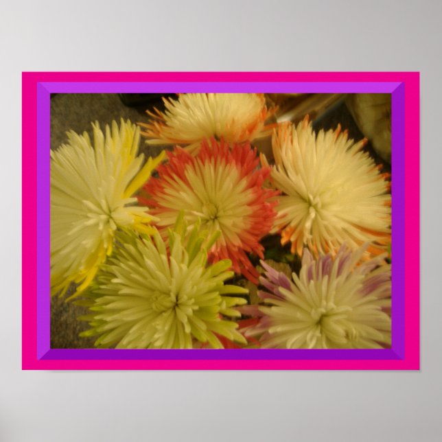 Flowers of Many Colors Poster (Front)