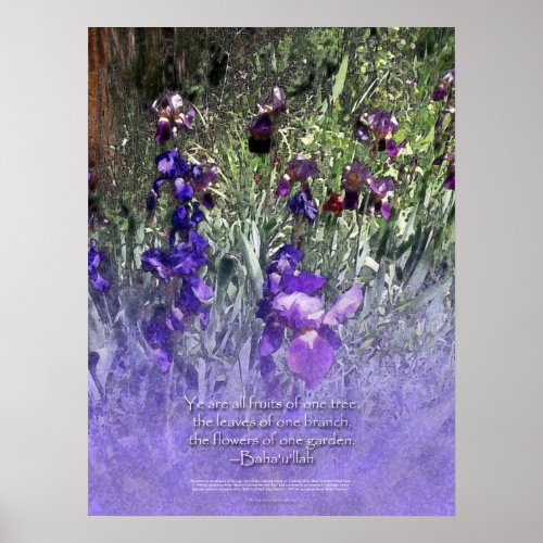 Flowers of One Garden Bahai Iris Poster