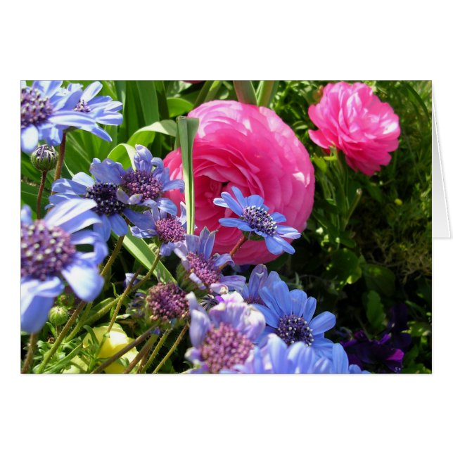 Flowers of Spring Cards (Front Horizontal)