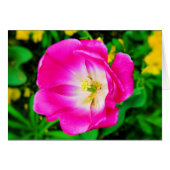 Flowers of St. James Park, London - Blank Card (Front Horizontal)