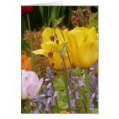 Flowers Of Tenderness (Front)