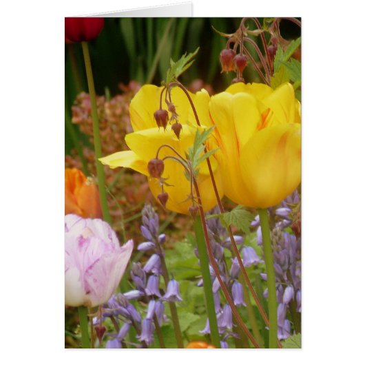 Flowers Of Tenderness Cards (Front)