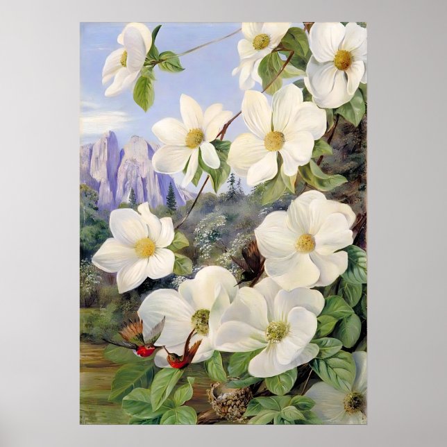 Flowers of the Californian by Marianne North Poster (Front)
