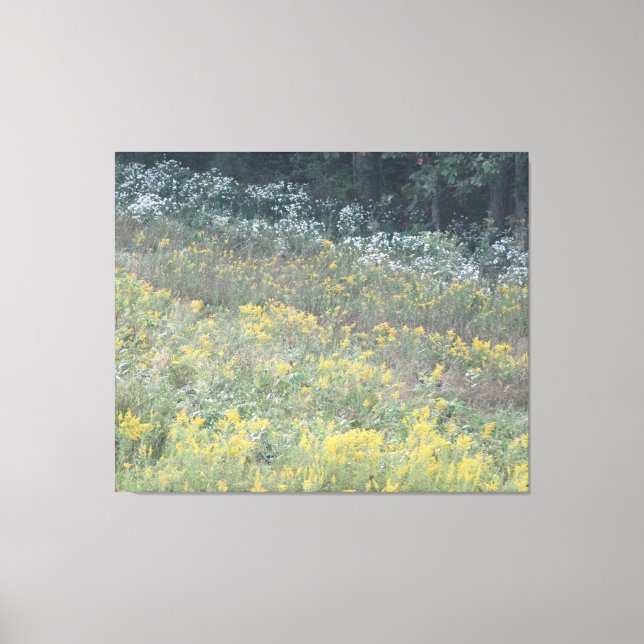 Flowers of the Field on 3 panels Canvas Print (Front)