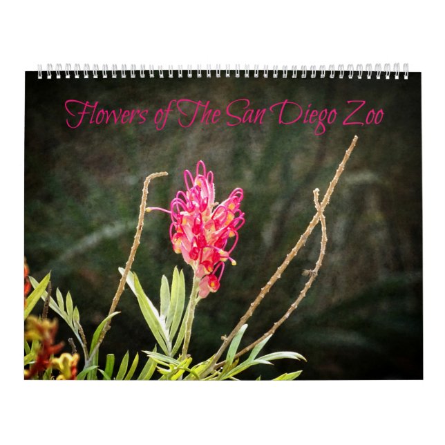 Flowers of The San Diego Zoo Calendar (Cover)