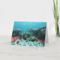 Flowers of the Sea Card