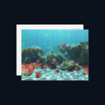 Flowers of the Sea Postcard
