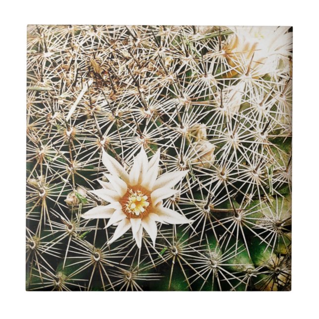 Flowers on a Cactus Tile (Front)