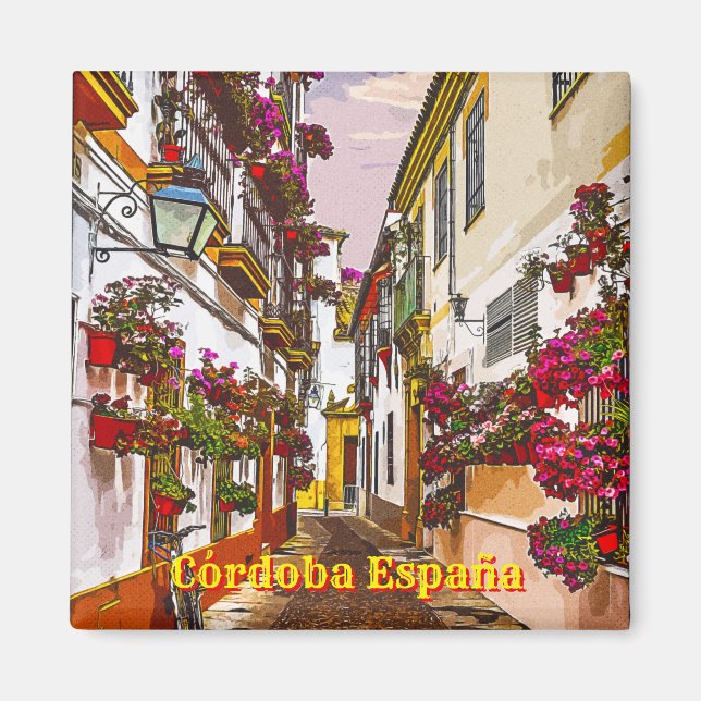 Flowers on the street. Cordoba, Andalusia, Spain. Magnet (Front)