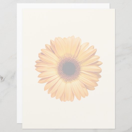 Flowers | Orange Gerbera (Front/Back)