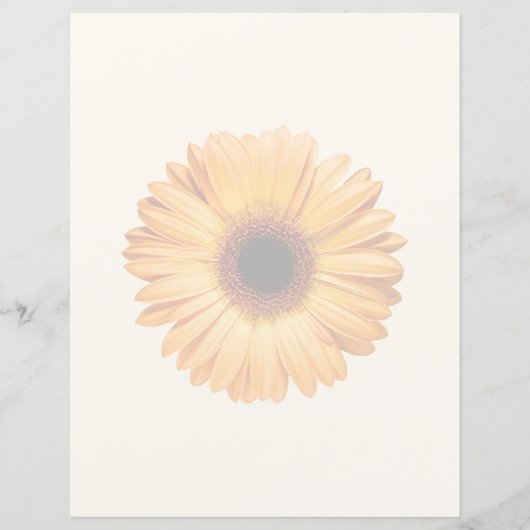 Flowers | Orange Gerbera (Front)