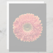 Flowers | Orange Gerbera Daisy (Front/Back)