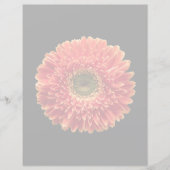 Flowers | Orange Gerbera Daisy (Front)