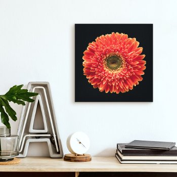 Flowers | Orange Gerbera Daisy Canvas Print by intothewild at Zazzle