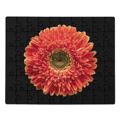 Flowers  Orange Gerbera Daisy Jigsaw Puzzle