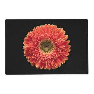 Flowers Orange Gerbera Daisy Placemat