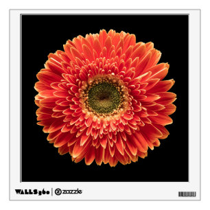 Flowers Orange Gerbera Daisy Wall Decal