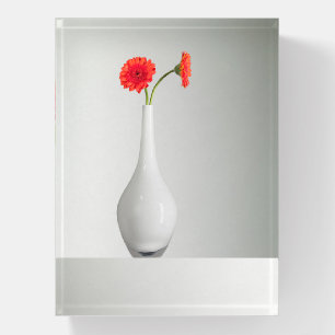 Flowers Orange Gerbera in Vase Paperweight