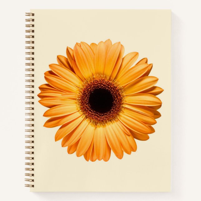Flowers | Orange Gerbera Notebook (Front)