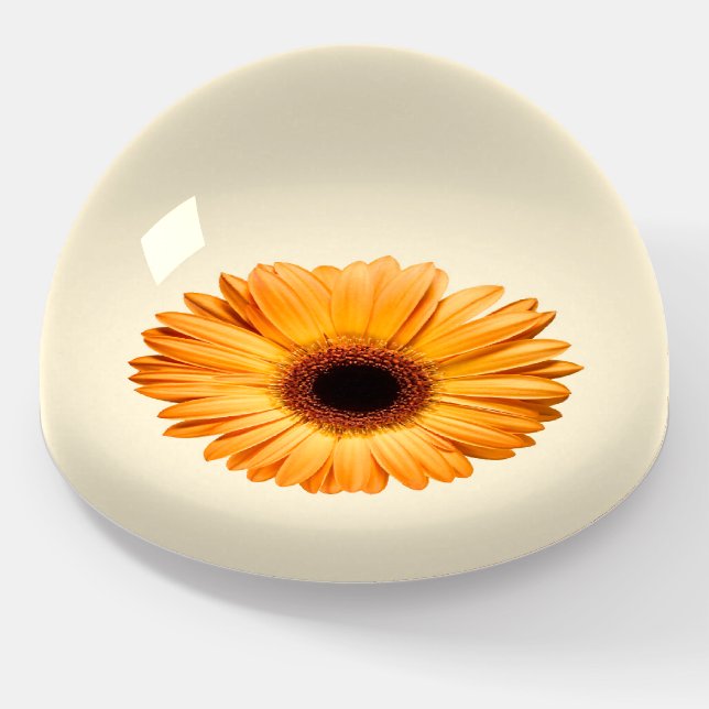 Flowers | Orange Gerbera Paperweight (Angled)