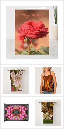 Flowers painting & photography