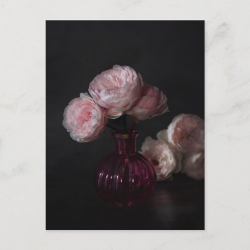 Flowers  Pale Pink Peonies in Vase Postcard