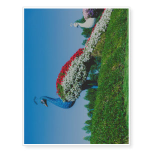 Flowers peacock in Dubai Miracle Garden Temporary Tattoos