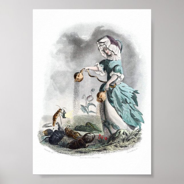 Flowers Personified -Poppy Poster (Front)