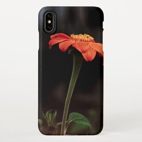 Flowers Petals Buds Flora Park lake summer  iPhone XS Max Case