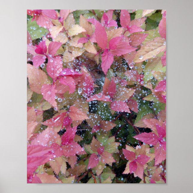Flowers photo poster (Front)