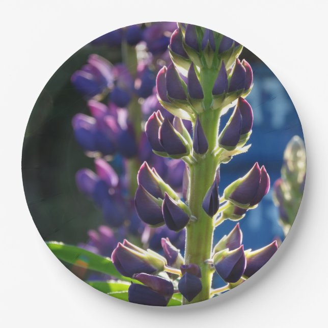 Flowers photography Plate (Front)