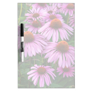 Flowers   Pink Coneflower Garden Dry Erase Board
