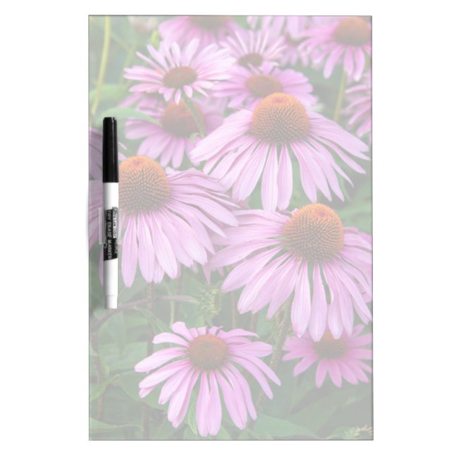 Flowers | Pink Coneflower Garden Dry Erase Board (Front)