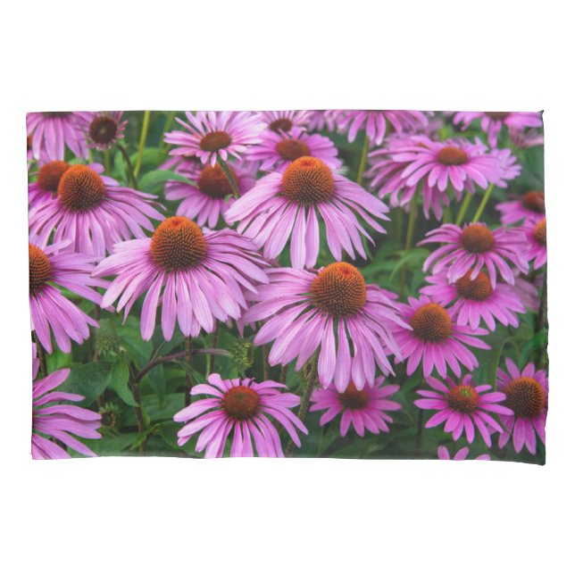 Flowers | Pink Coneflower Garden Pillow Case (Front)