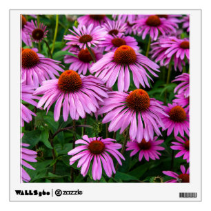 Flowers Pink Coneflower Garden Wall Decal