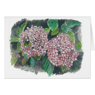 flowers - Pink Hydrangea Cards