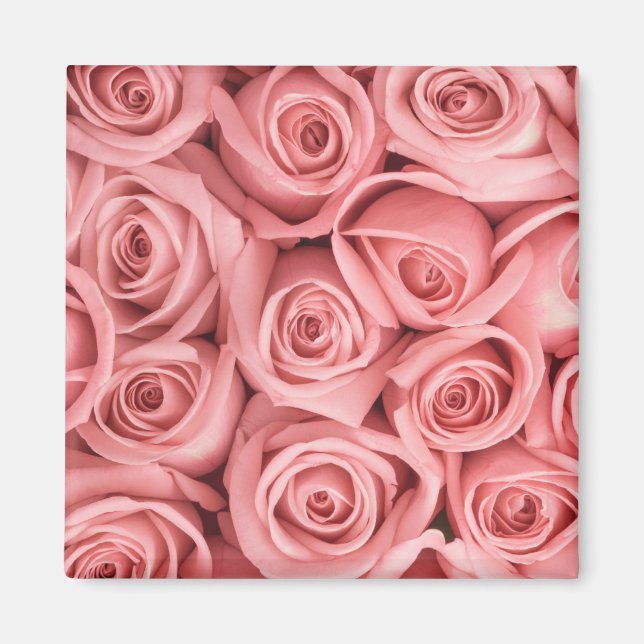 Flowers | Pink Roses Magnet (Front)