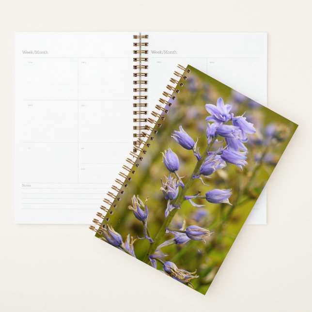 Flowers Planner (Display)