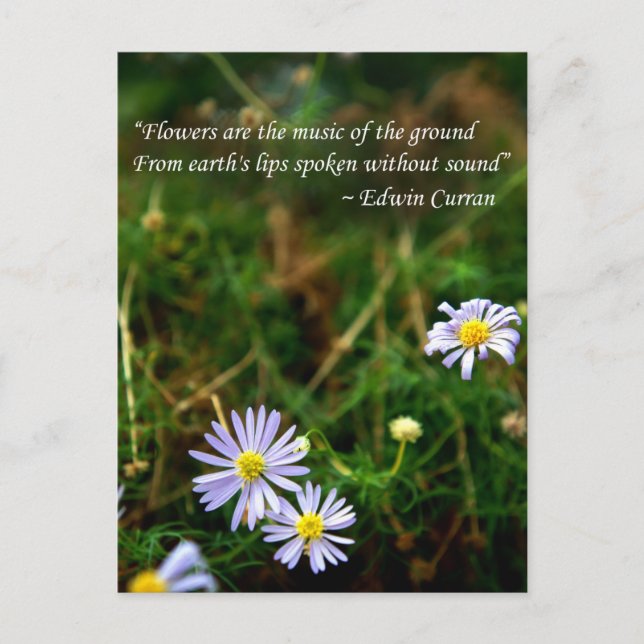 Flowers Postcard (Front)