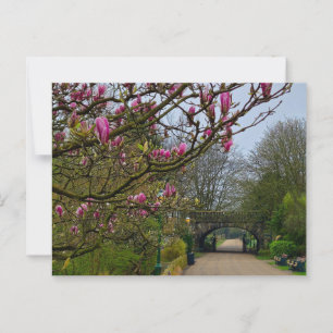 Flowers Postcard