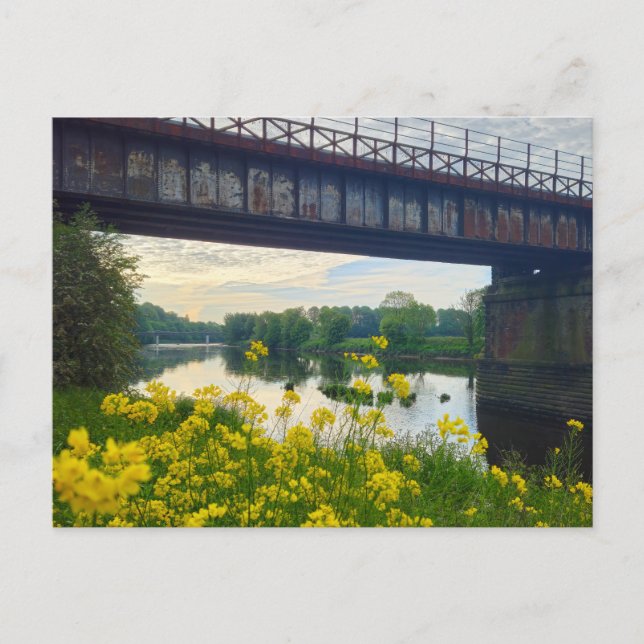 Flowers  postcard (Front)