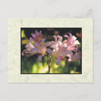flowers postcard