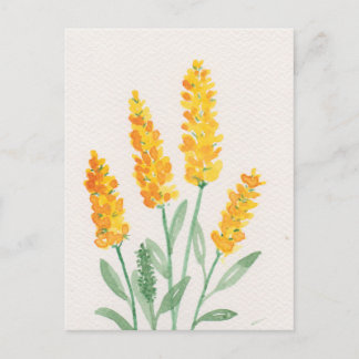 Flowers Postcard