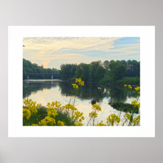 Flowers Poster