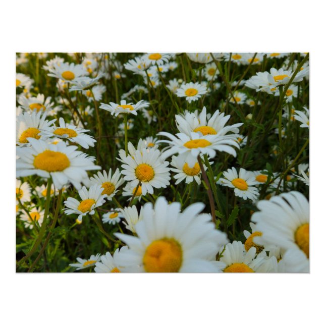 Flowers Poster (Front)