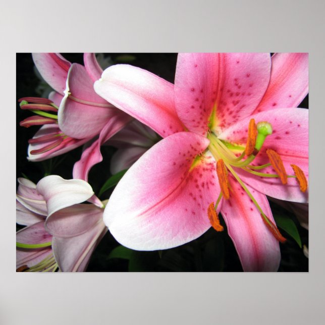 Flowers Poster (Front)