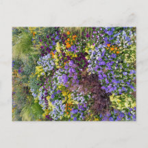 Flowers Power - 1