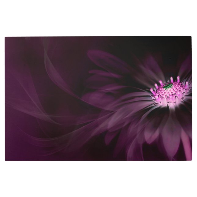 Flowers | Purple Daisy Metal Print (Front)